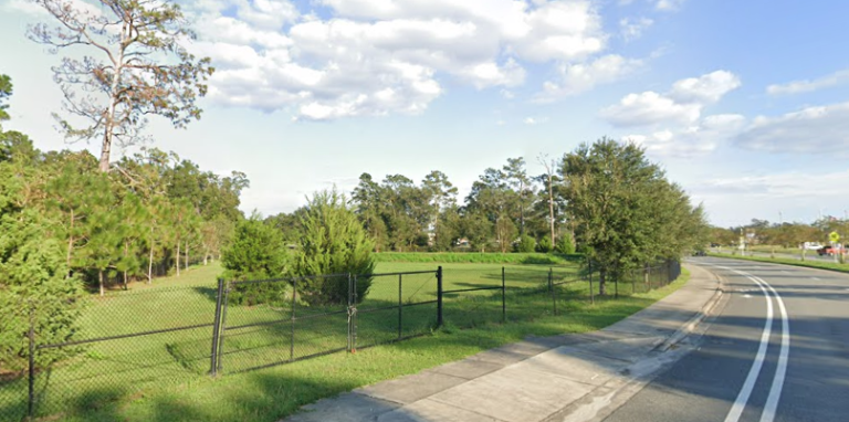 SR 61 (Wakulla County, FL)